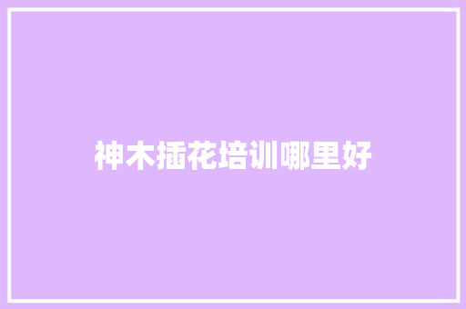 神木插花培训哪里好