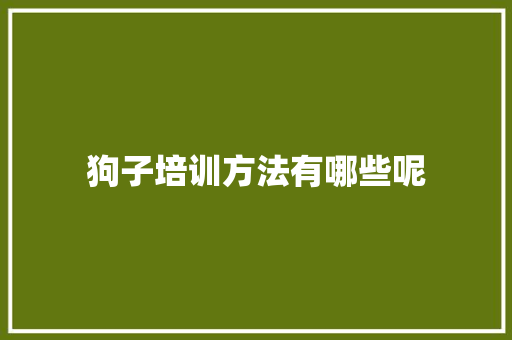 狗子培训方法有哪些呢