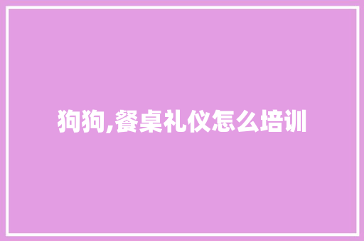 狗狗,餐桌礼仪怎么培训