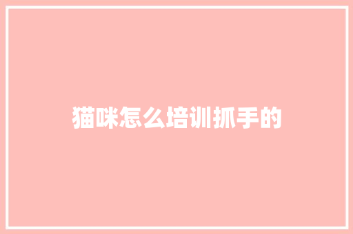 猫咪怎么培训抓手的