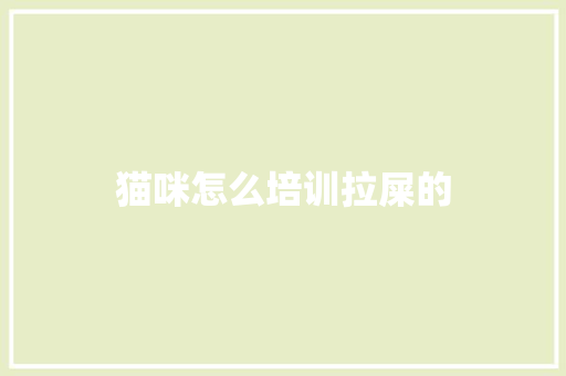 猫咪怎么培训拉屎的