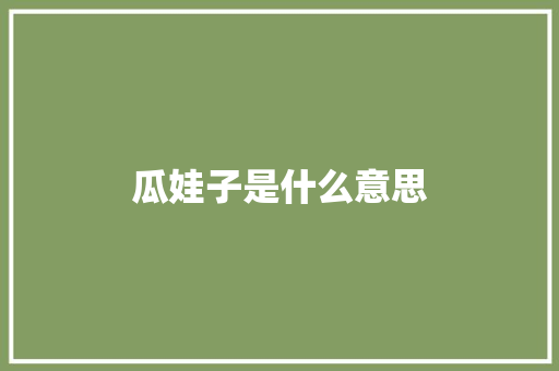 瓜娃子是什么意思