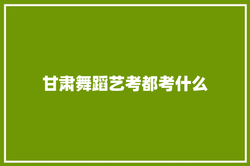 甘肃舞蹈艺考都考什么