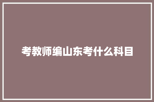 考教师编山东考什么科目