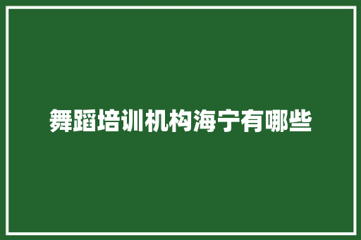 舞蹈培训机构海宁有哪些