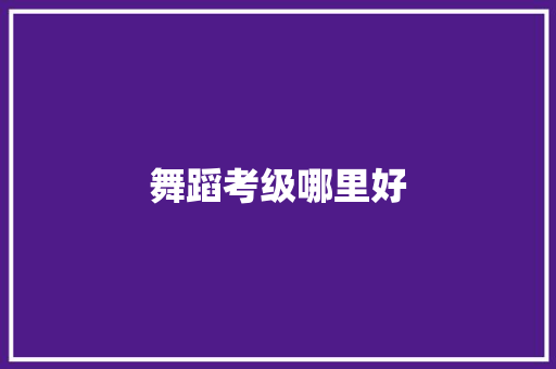 舞蹈考级哪里好