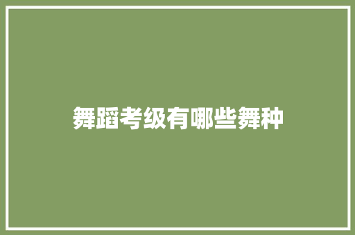 舞蹈考级有哪些舞种