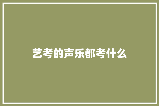 艺考的声乐都考什么