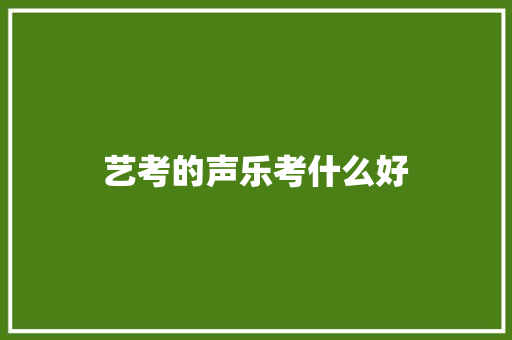 艺考的声乐考什么好