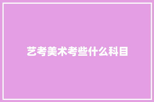 艺考美术考些什么科目