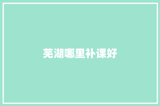 芜湖哪里补课好