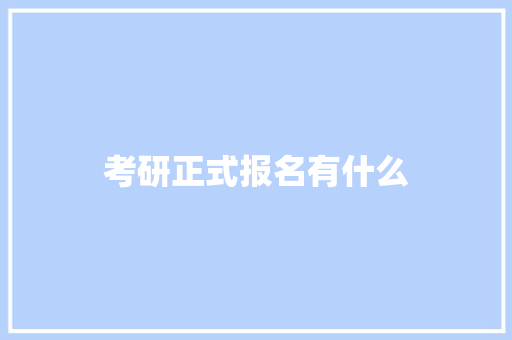 考研正式报名有什么