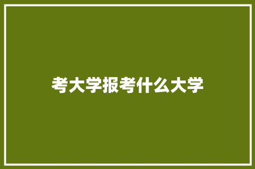 考大学报考什么大学 商业计划书范文