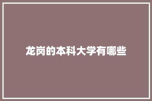 龙岗的本科大学有哪些 简历范文